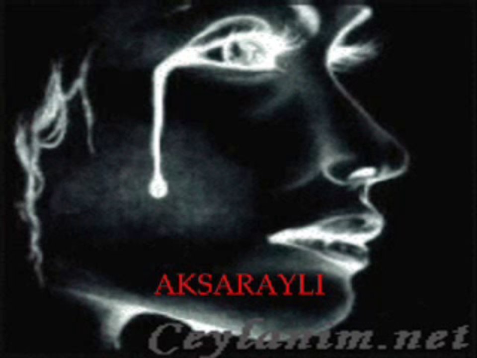ismet bayraktar(elektro)