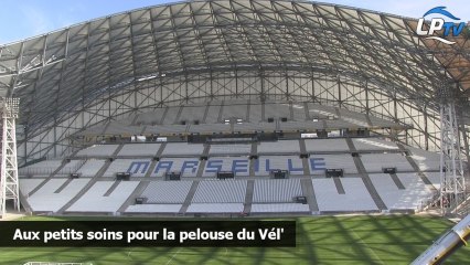 Aux petits soins pour la pelouse du Vél'