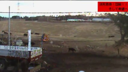 20131230  06-30 牧場１号機　夜明け