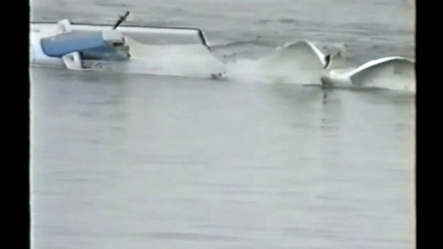 Crazy and Angry Birds Attack people - Animal Compilation