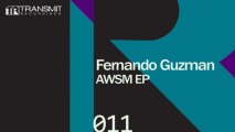 Fernando Guzman - Acefala (Original Mix) [Transmit Recordings]