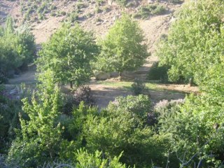 Hassa-Dedemli Köyü-1