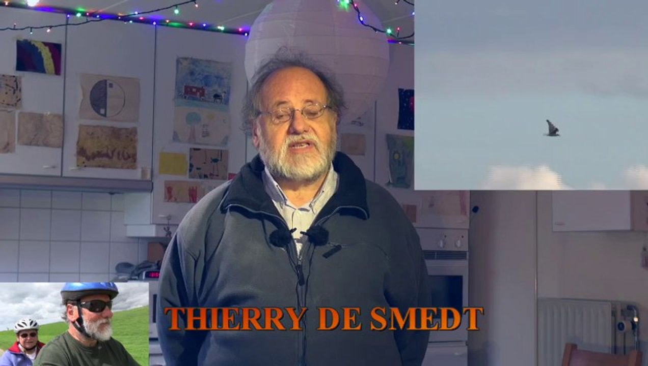#25: Entretien avec Thierry De Smedt