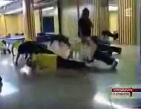 LDJ (LIGUE DE LA DEFENSE JUIVE) ET BETAR