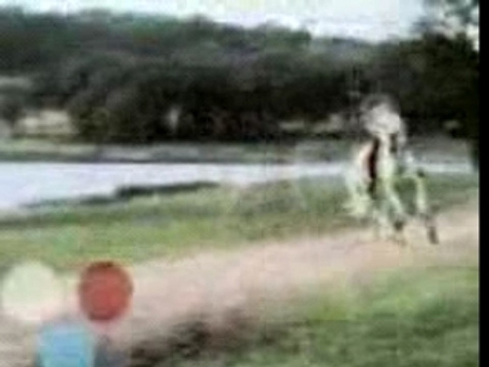 cheval pure race espagnole