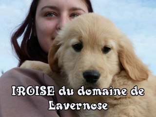 Aikenka_Iroise du domaine de Lavernose