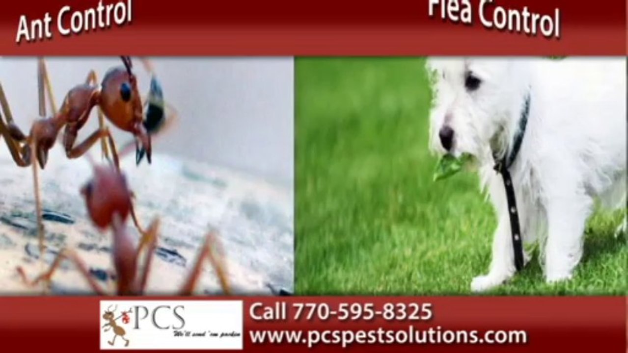 Marietta Rodent Control | PCS Pest Control Solutions Call 770-595-8325