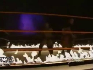 WWF Big Boss Man vs Viscera