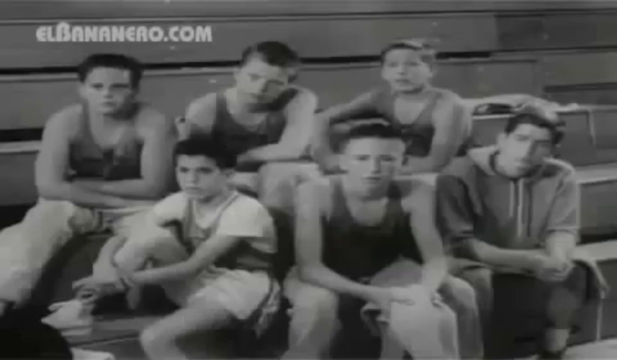 El bananero-Profesor Paul Vazo 4