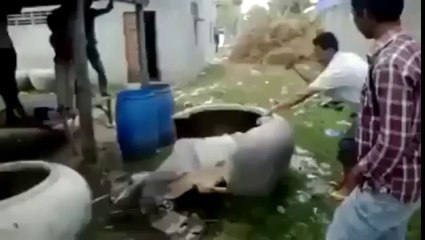 Guess Whats In The Pot