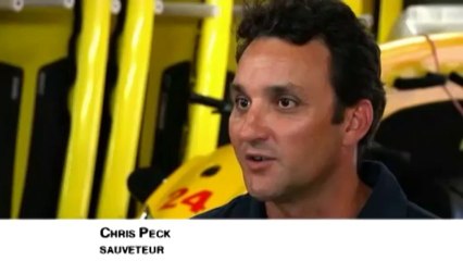 Des requins sur Twitter pour avertir les baigneurs