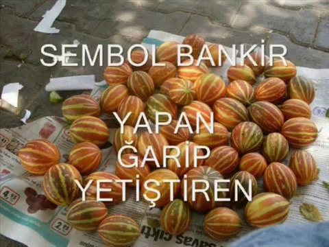 mardin mazıdağı sakızlı köyü