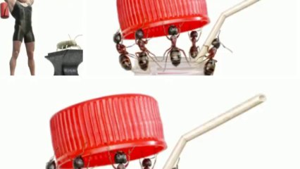 Sikes Pest Control (402) 710-1424