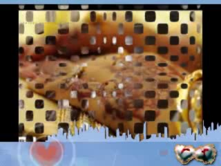 !!~নারী নারী নারি~!!