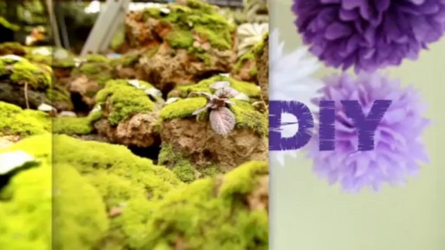 Wake Up Thailand วาทะเด็ดปี 2556