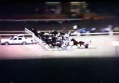 1993 N.A Cup - Harness Racing