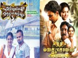 Hit Malayalam Movies Of 2013