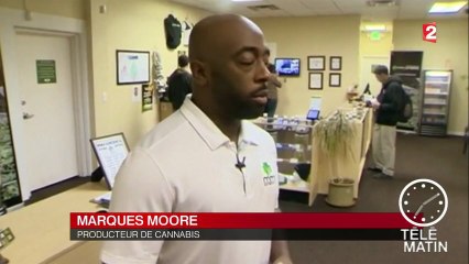J-1 avant l'ouverture des premiers magasins de cannabis aux Etats-Unis