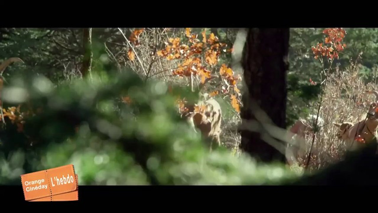 04 DU SANG ET DES LARMES