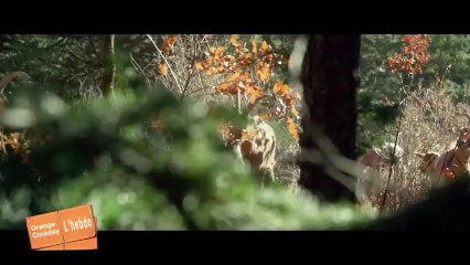 04 DU SANG ET DES LARMES