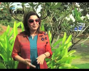 The team of Happy New Year turn fitness freaks