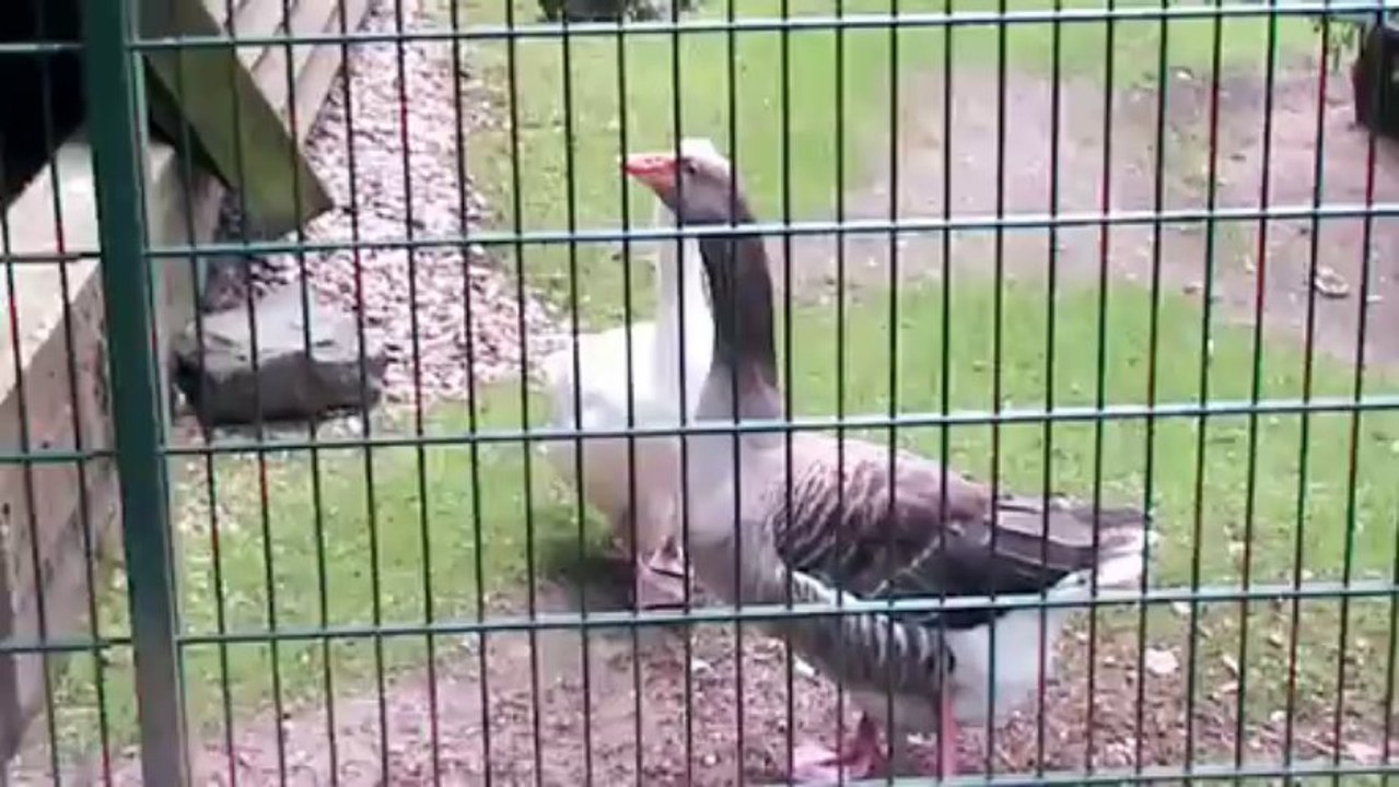 Lindenthaler Tierpark