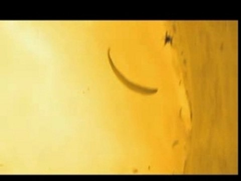 wagas festival 2005 (1)