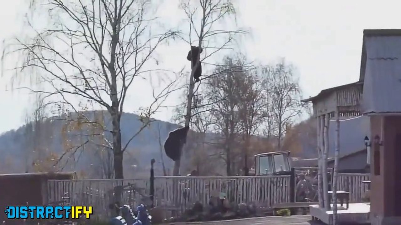 Les meilleurs moments RUSSES de 2013 - Compilation de FAIL en mode RUSSIE!