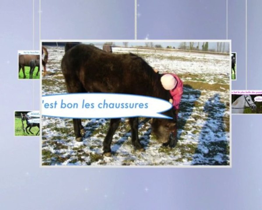 l histoire de cassy et ushaz