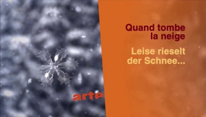 Quand tombe la neige