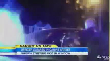 Cop Throws a Dog Through Car Window - www.copypasteads.com
