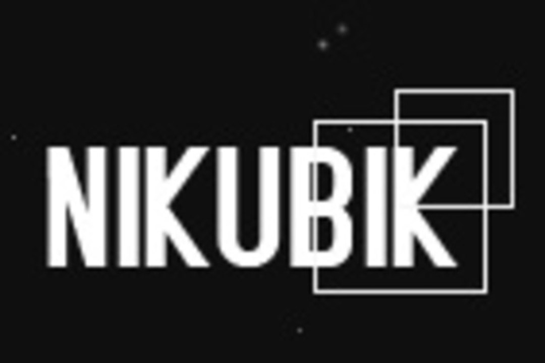 Bilan d'année pour NIKUBIK