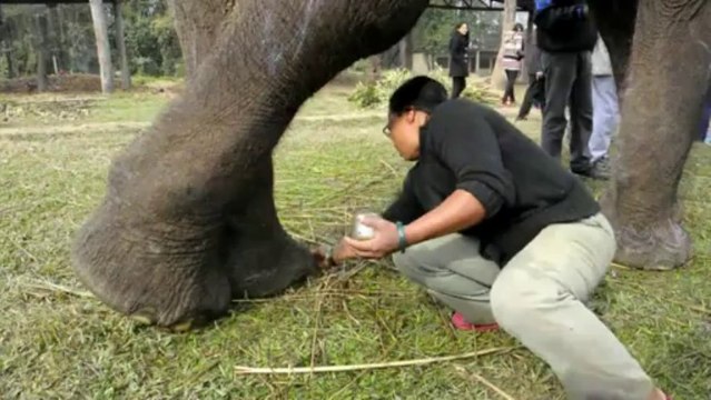 AFP - Le JT, 2ème édition du mardi 31 décembre