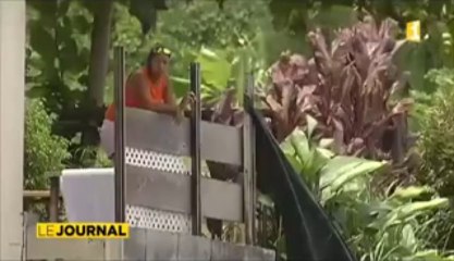 La sortie dominicale tourne au drame