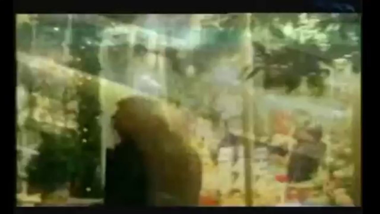 Τεχνών Δρώμενα+   ΠΑΣΧΑΛΗΣ ΤΕΡΖΗΣ - Ο ΔΙΚΟΣ ΜΟΥ Ο ΔΡΟΜΟΣ