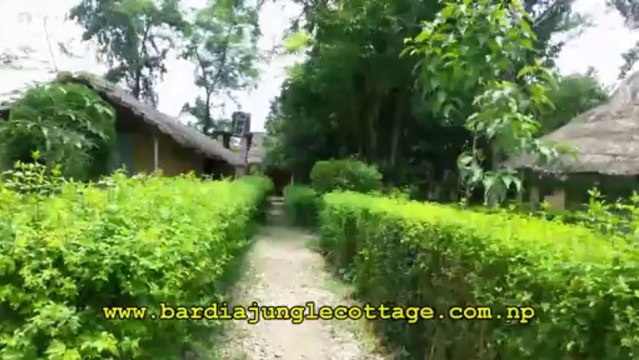 Bardia National Park Wildlife Adventure in West Nepal.