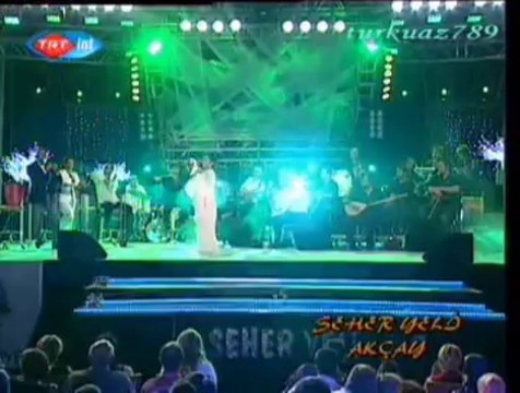 Belkıs AKKALE-Kara Tellerin