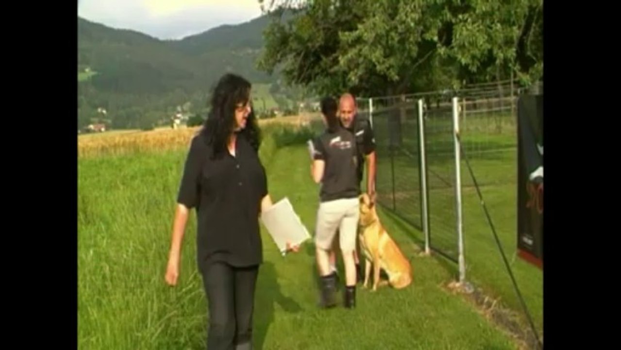 Be Aware Cobra @ IPO3-Track