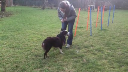 Initiation Slalom couloir Islay
