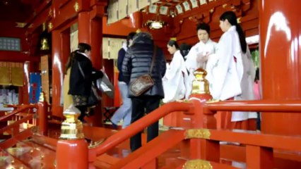 AFP - Le JT, 1ère édition du mercredi 1er janvier