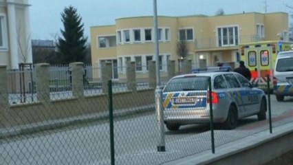 Palestinian ambassador to Prague killed in home explosion