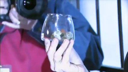 Estados americanos legalizam maconha