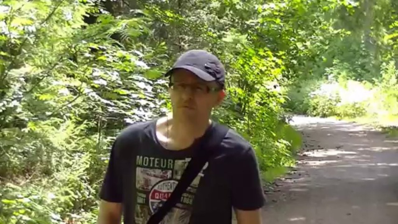 Cose della vita Eros Ramazzotti cover in Germany by Nikola Bujukliev