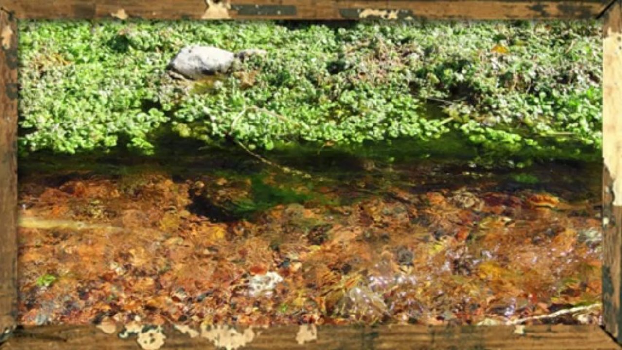 EL AGUA DE TORRES NET