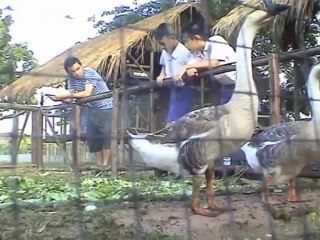 เด็กหอ Dorm เบื้องหลัง