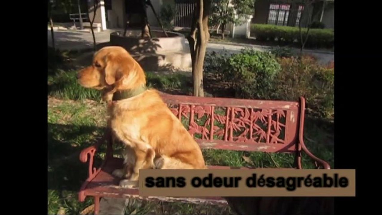 Spots publicitaires en classe de FLE