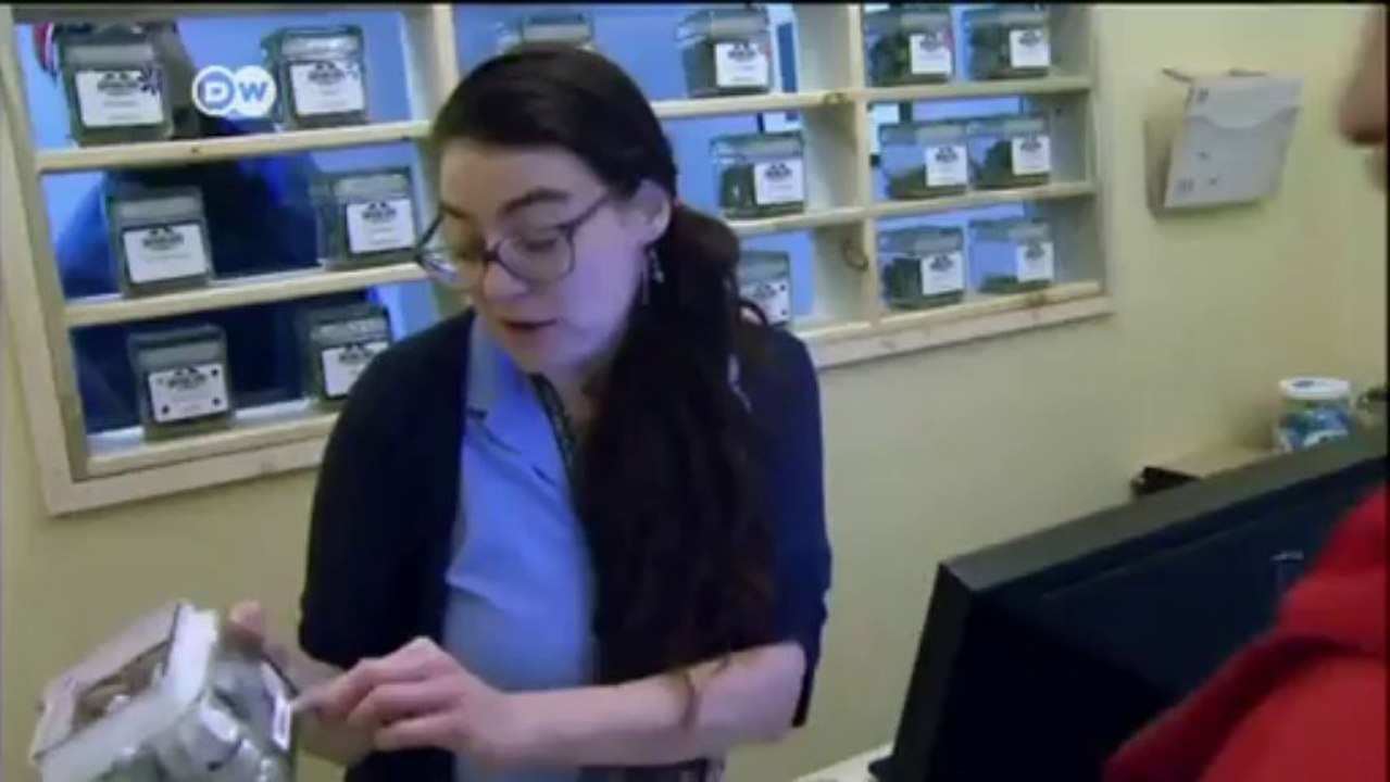 Colorado: kiffen ist jetzt legal | journal