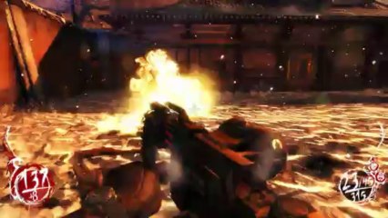 Shadow Warrior [Pt.31][Me lo habías prometido (2-3)]