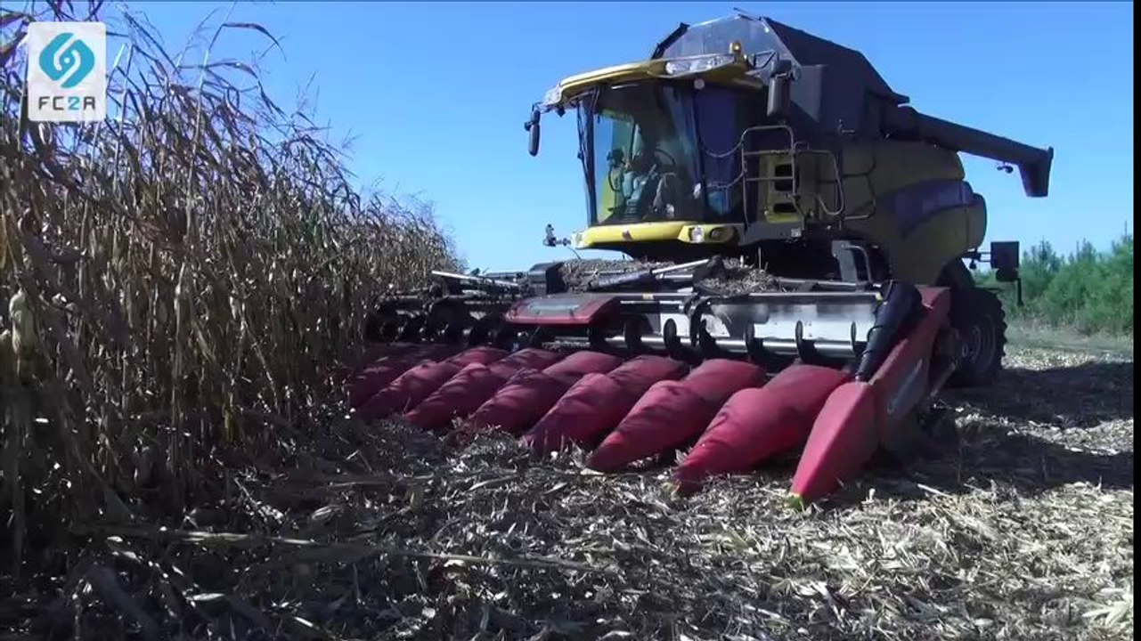 LESPLENE, le négociant partenaire