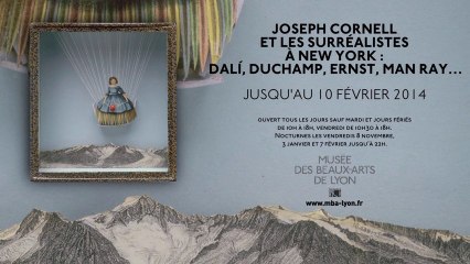 Inside the Joseph Cornell show